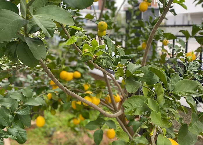 شقة Cozy Flats With Balcony